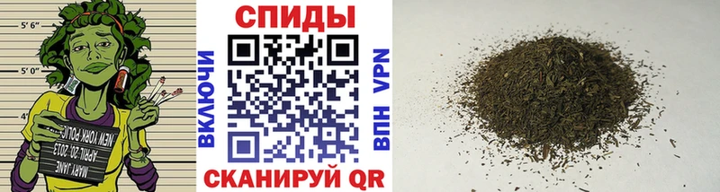 Купить где  Канск  БУТИРАТ оксана 
