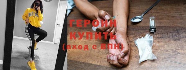 индика Арсеньев