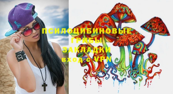 индика Арсеньев