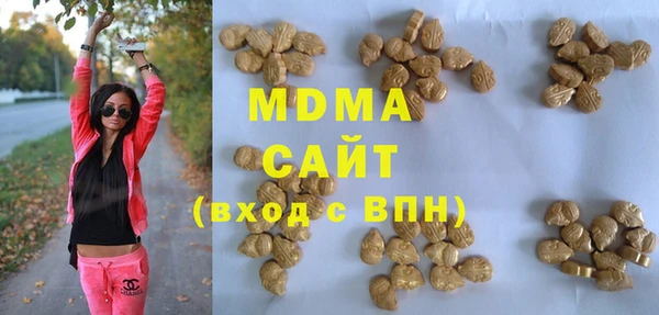 индика Арсеньев