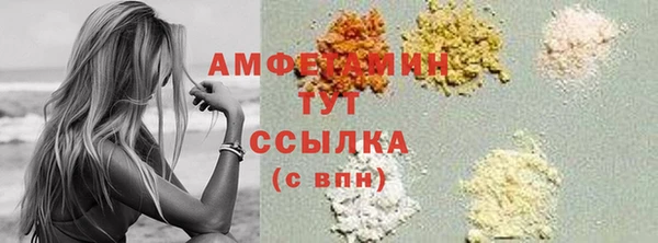 индика Арсеньев